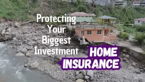 Home Insurance: A Comprehensive Guide