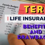 Term-Life-Insurance